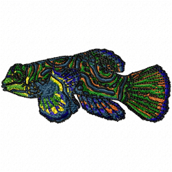 Fishes Embroidery Design 8 Fishes Embroidery Design 8